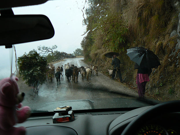 Mountian trip to Dadeldhura
