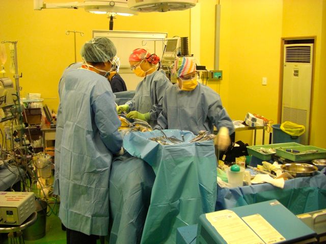 inside the theatre in Tonga