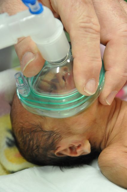 applying the anaesthetic to the smallest patient in Tonga