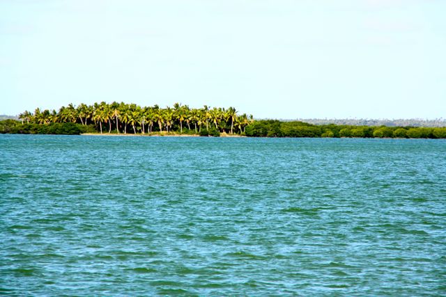 island beauty in Tonga