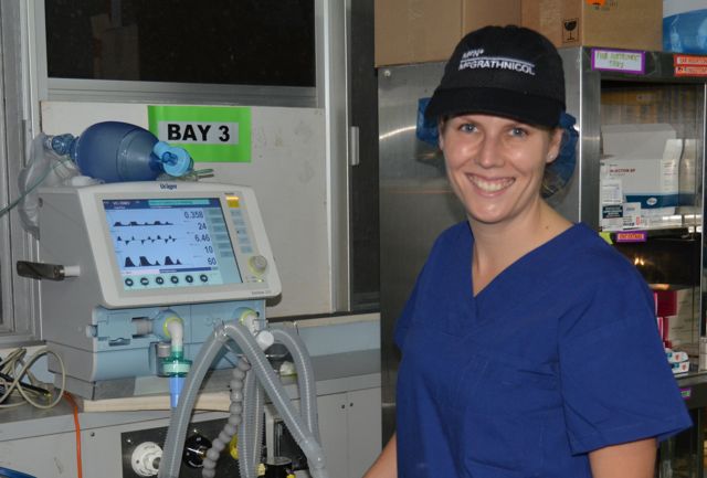 ICU Nurse Sally monitoring the equipment