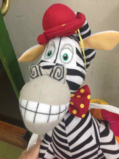 Our mascot Jolly Molly